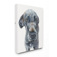 Ступел индустрии сладък голям Датчанин куче домашен любимец животно акварел живопис платно стена изкуство от Джордж Дяченко
