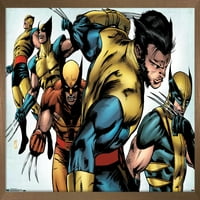 Marvel Comics - Wolverine - Evolution Wall Poster, 22.375 34