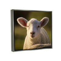 Ступел индустрии гледа Ферма овце Снимка Снимка блясък сив плаваща рамка платно печат стена изкуство, дизайн от Дафне Полсели